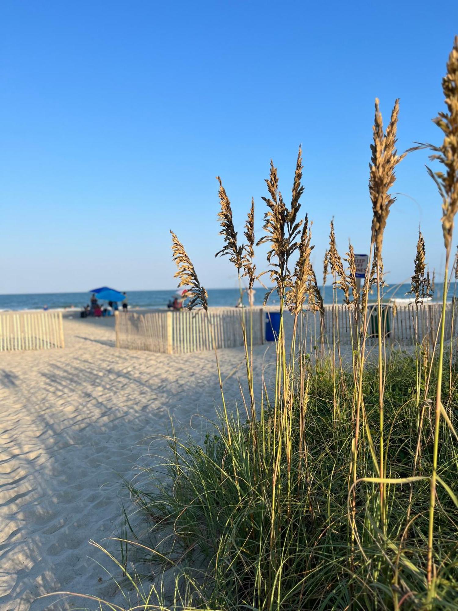 Ocean Dream Vacation Lejlighedshotel Myrtle Beach Eksteriør billede