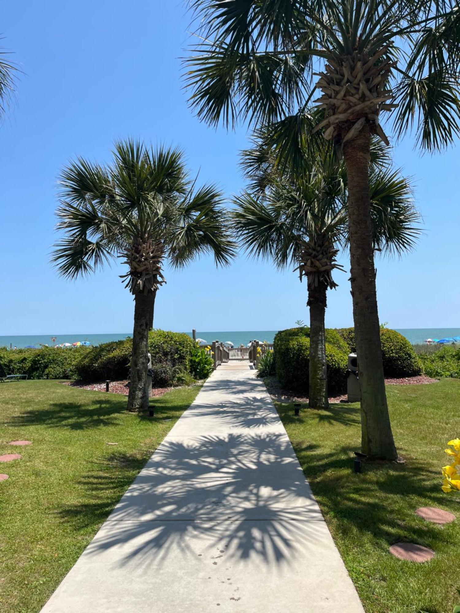Ocean Dream Vacation Lejlighedshotel Myrtle Beach Eksteriør billede